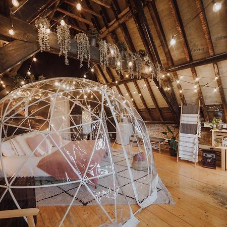 Cocoon Brussels 아파트 외부 사진